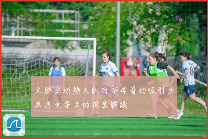 文胖分析热火队对字母哥的吸引力及其竞争力的深度解读