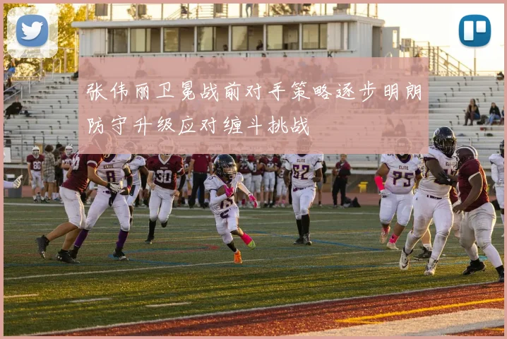 张伟丽卫冕战前对手策略逐步明朗防守升级应对缠斗挑战